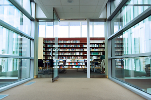 library with many windows